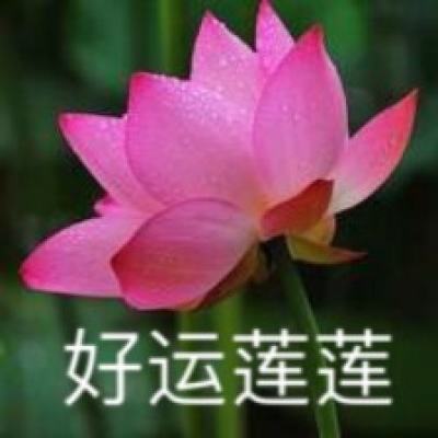 双城记｜“双生”豫园 茶韵香远